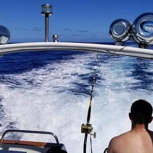 Meet your Posher, Corey